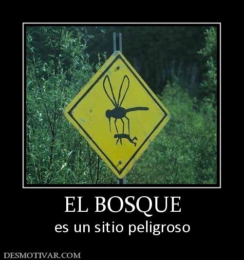 EL BOSQUE es un sitio peligroso