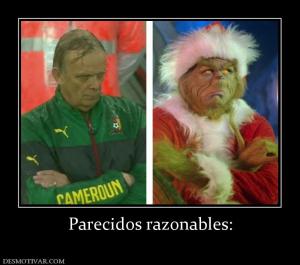 Parecidos razonables: