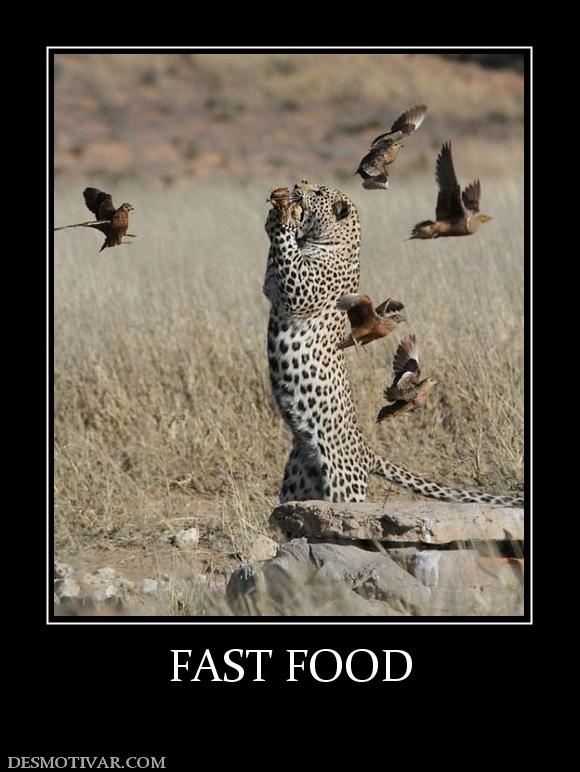 FAST FOOD