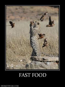 FAST FOOD