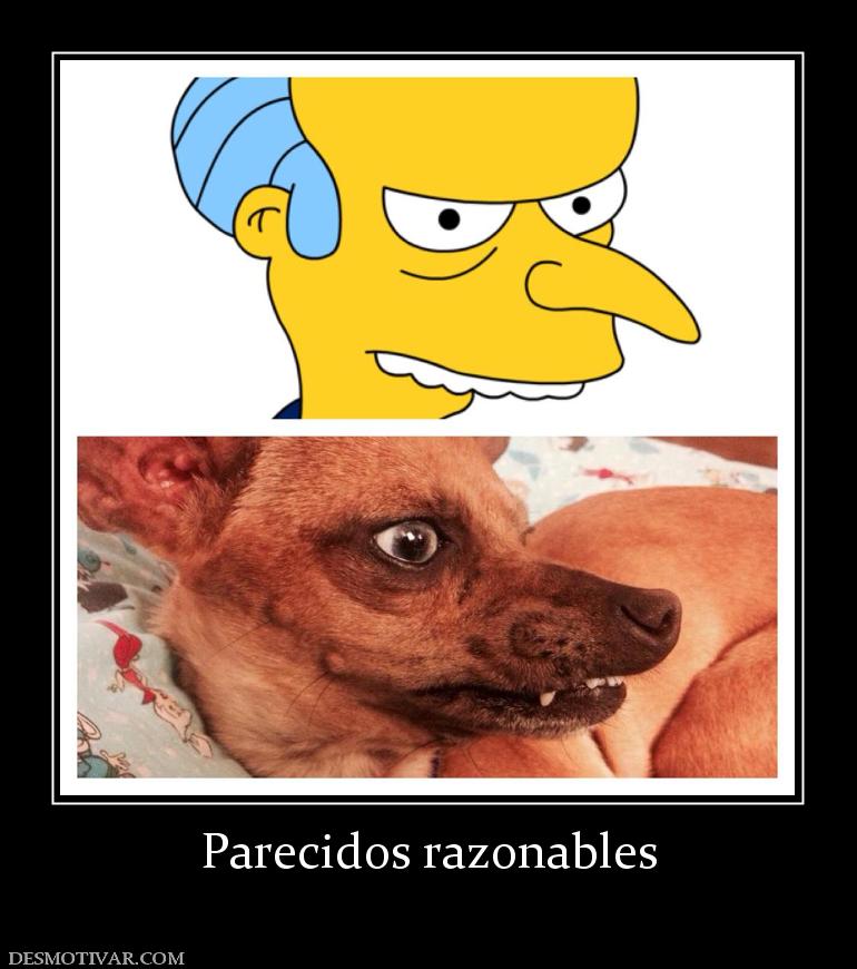 Parecidos razonables