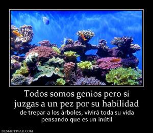 Todos somos genios pero si juzgas a un pez por su habilidad de trepar a los árboles, vivirá toda su vida pensando que es un inútil