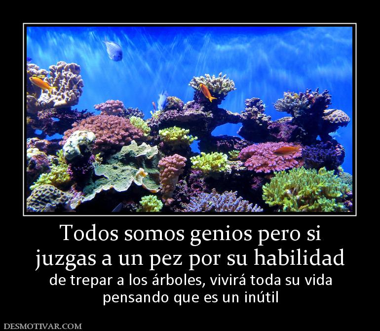 Todos somos genios pero si juzgas a un pez por su habilidad de trepar a los árboles, vivirá toda su vida pensando que es un inútil