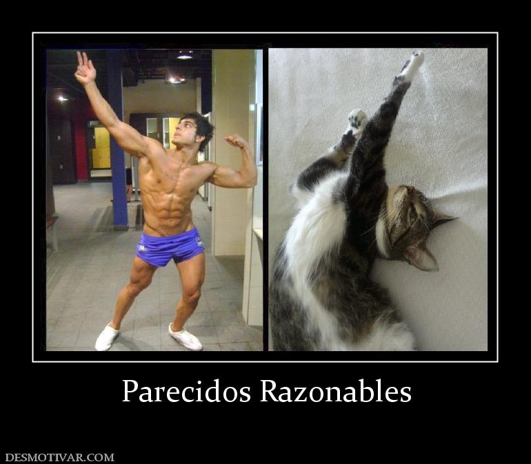 Parecidos Razonables