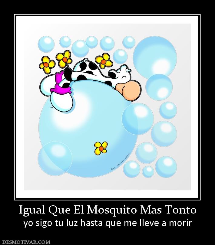 Igual Que El Mosquito Mas Tonto yo sigo tu luz hasta que me lleve a morir