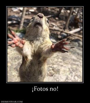 ¡Fotos no!