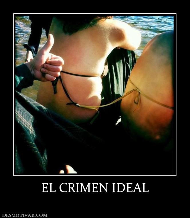 EL CRIMEN IDEAL