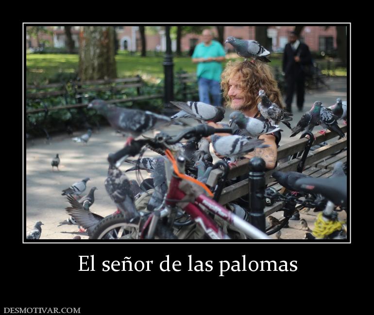 El señor de las palomas