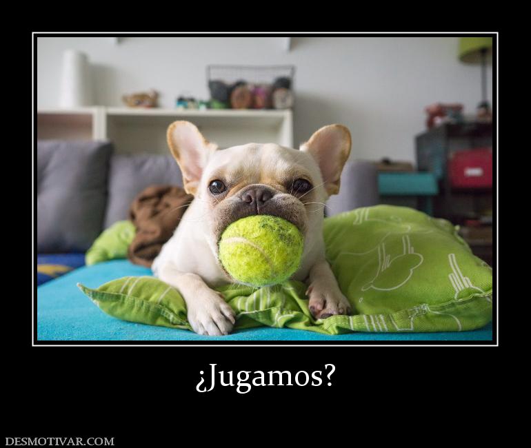 ¿Jugamos?