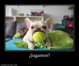 ¿Jugamos?