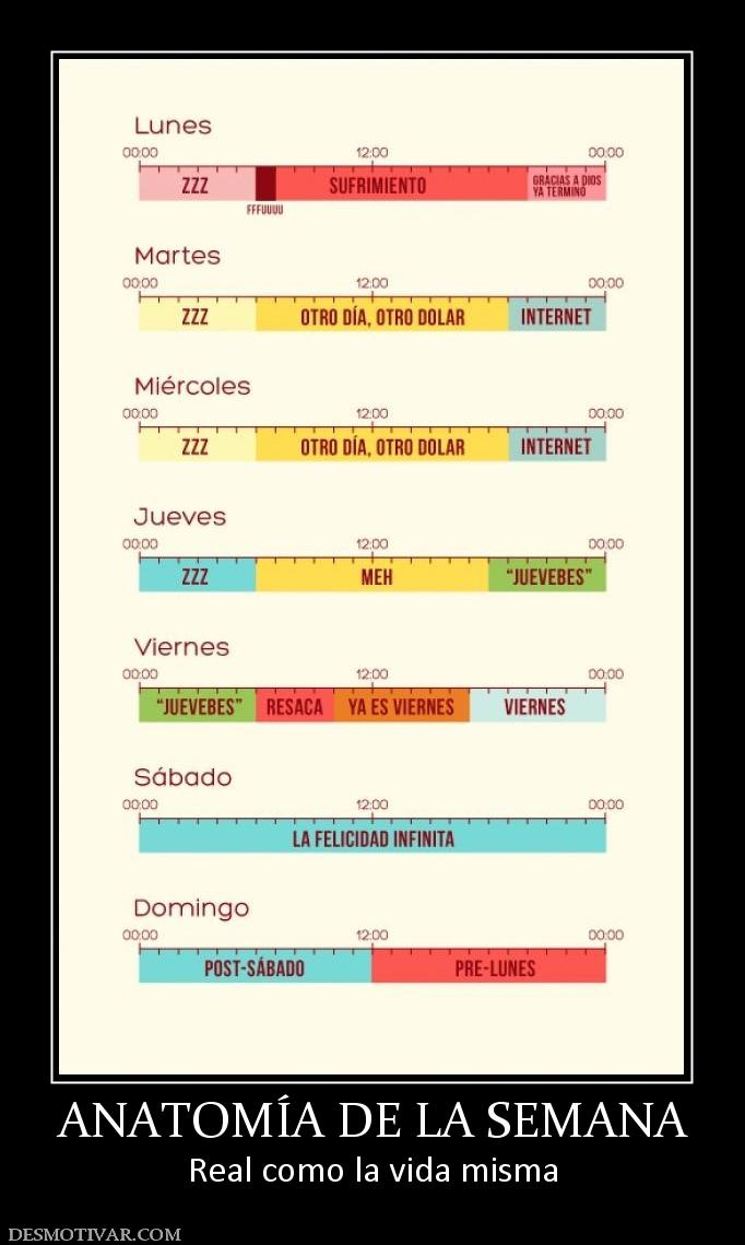 ANATOMÍA DE LA SEMANA Real como la vida misma