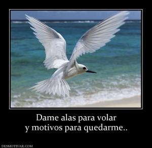 Dame alas para volar y motivos para quedarme..