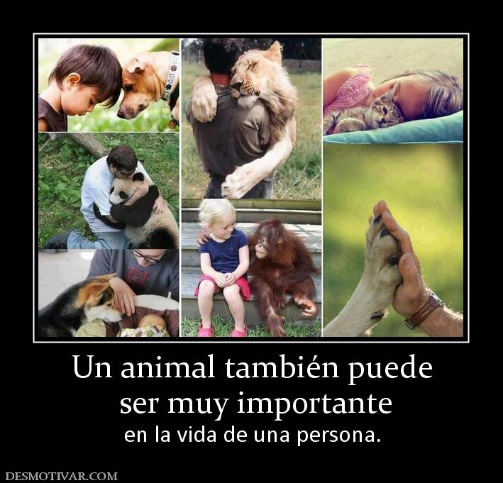 Un animal también puede  ser muy importante  en la vida de una persona.