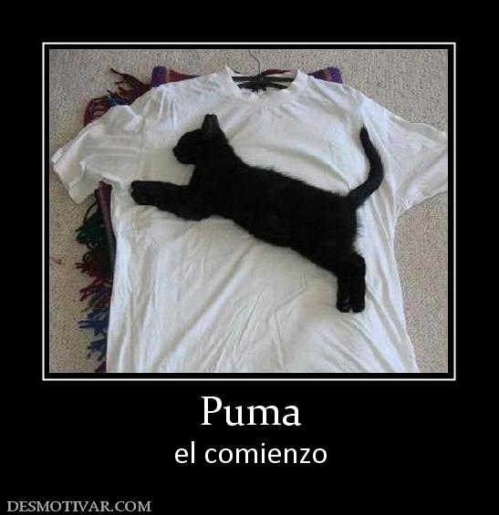 Puma el comienzo