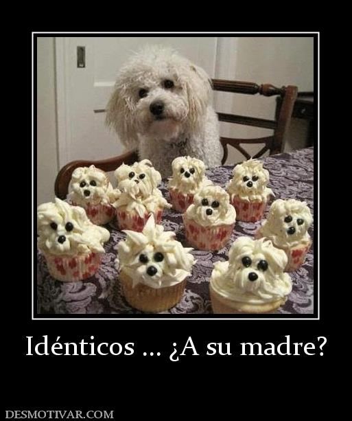 Idénticos ... ¿A su madre?