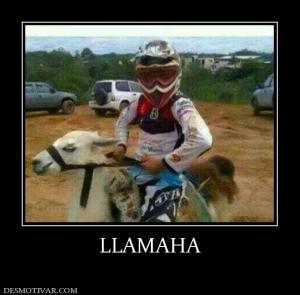 LLAMAHA