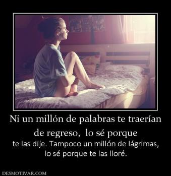 Ni un millón de palabras te traerían de regreso,  lo sé porque  te las dije. Tampoco un millón de lágrimas, lo sé porque te las lloré.