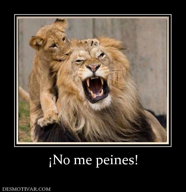 ¡No me peines!