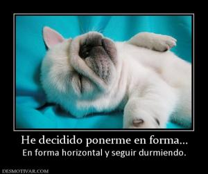 He decidido ponerme en forma... En forma horizontal y seguir durmiendo.