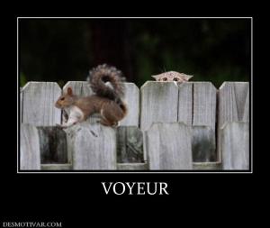 VOYEUR