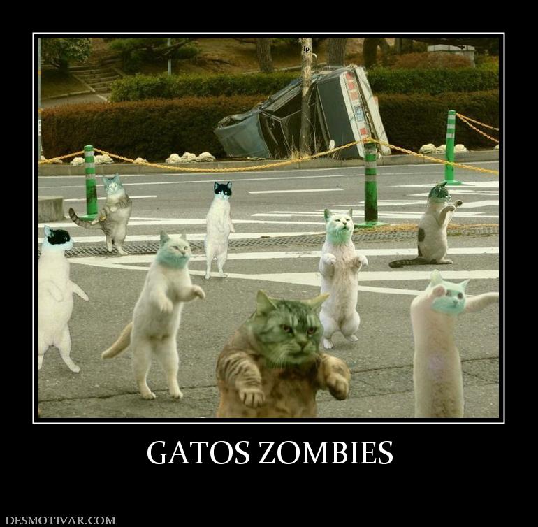 GATOS ZOMBIES