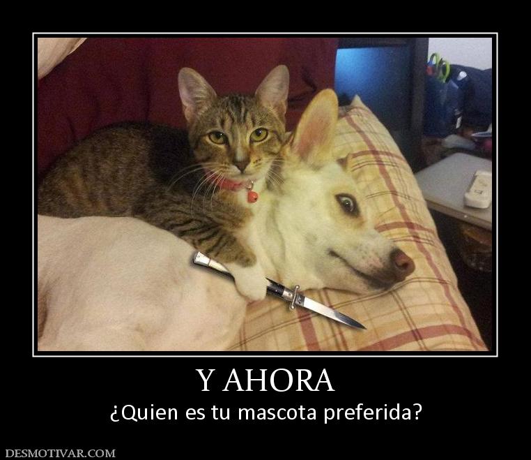 Y AHORA ¿Quien es tu mascota preferida?