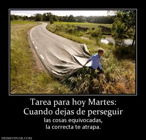 Tarea para hoy Martes: Cuando dejas de perseguir las cosas equivocadas, la correcta te atrapa.