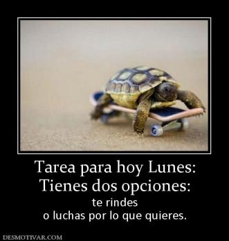 Tarea para hoy Lunes: Tienes dos opciones:  te rindes o luchas por lo que quieres.