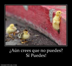 ¿Aún crees que no puedes? Sí Puedes!