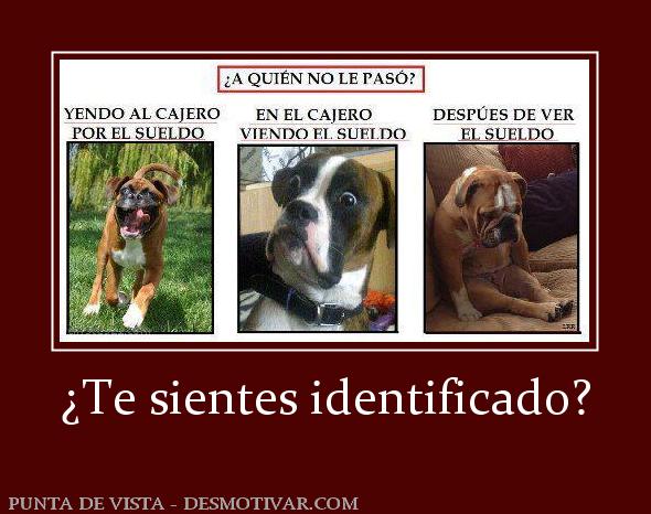 ¿Te sientes identificado?