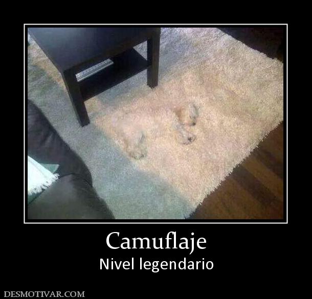 Camuflaje Nivel legendario