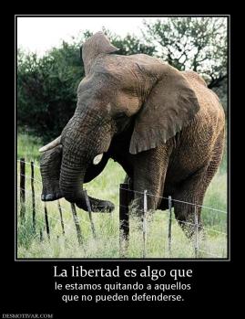 La libertad es algo que le estamos quitando a aquellos que no pueden defenderse.