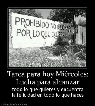 Tarea para hoy Miércoles: Lucha para alcanzar todo lo que quieres y encuentra la felicidad en todo lo que haces