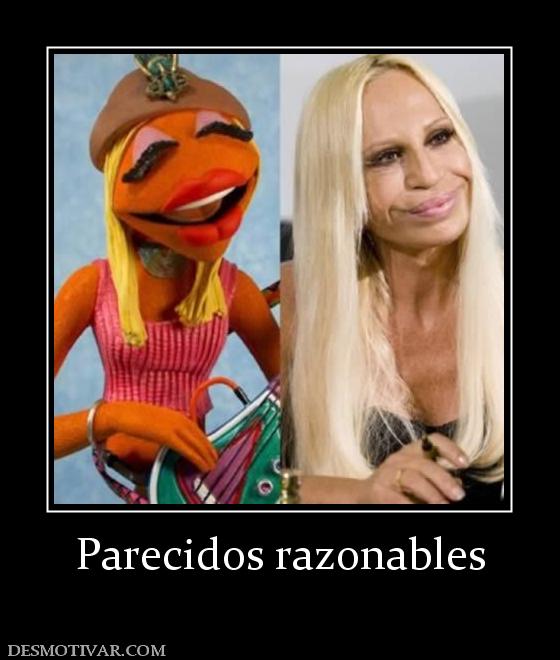 Parecidos razonables