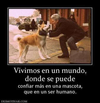 Vivimos en un mundo, donde se puede  confiar más en una mascota, que en un ser humano.