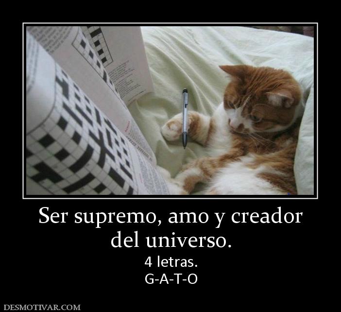 Ser supremo, amo y creador del universo.  4 letras. G-A-T-O