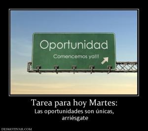 Tarea para hoy Martes: Las oportunidades son únicas,  arriésgate