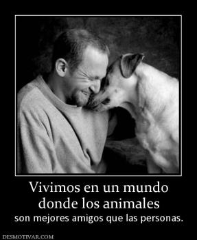 Vivimos en un mundo donde los animales  son mejores amigos que las personas.