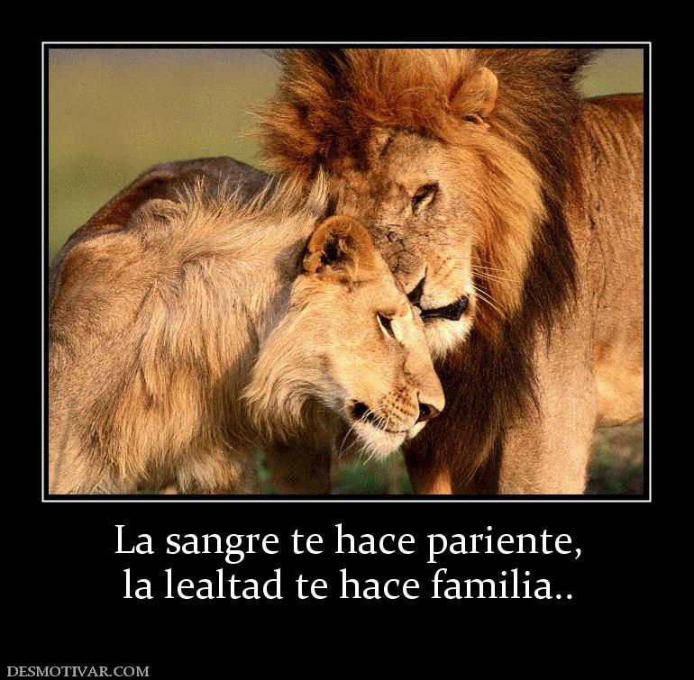 La sangre te hace pariente, la lealtad te hace familia..