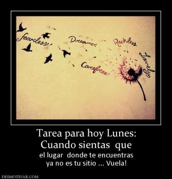 Tarea para hoy Lunes: Cuando sientas  que el lugar  donde te encuentras ya no es tu sitio ... Vuela!