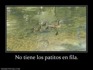 No tiene los patitos en fila.