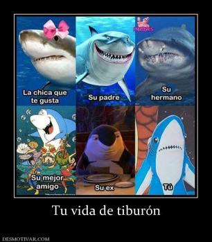 Tu vida de tiburón