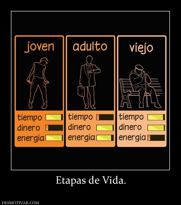 Etapas de Vida.