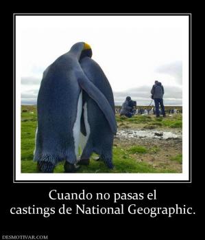 Cuando no pasas el castings de National Geographic.