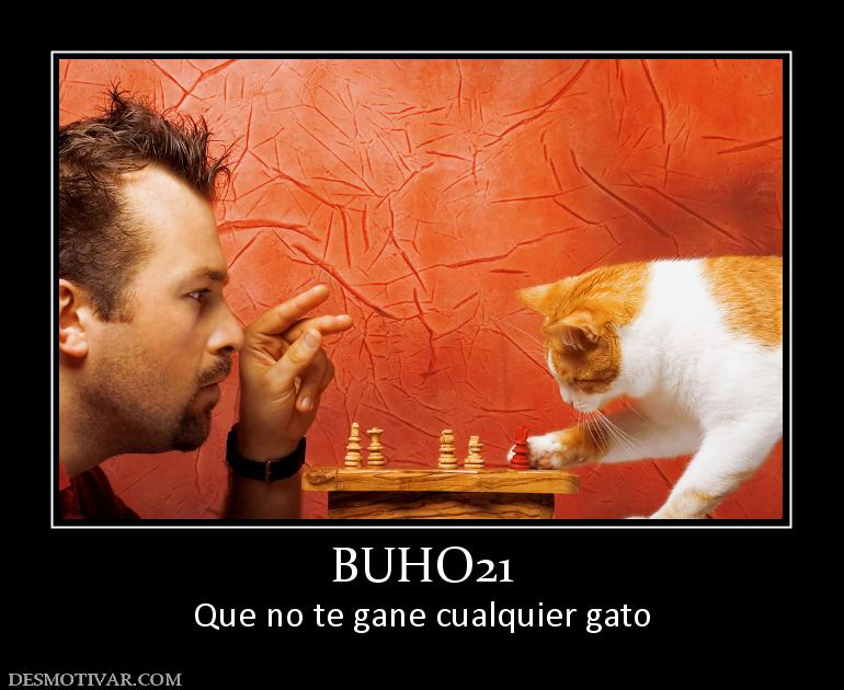 BUHO21 Que no te gane cualquier gato