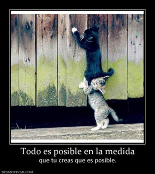 Todo es posible en la medida que tu creas que es posible.