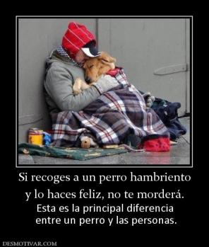 Si recoges a un perro hambriento y lo haces feliz, no te morderá. Esta es la principal diferencia  entre un perro y las personas.