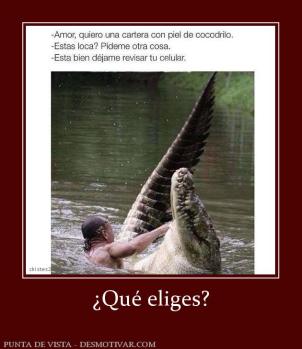 ¿Qué eliges?