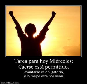 Tarea para hoy Miércoles: Caerse está permitido, levantarse es obligatorio,  y lo mejor está por venir.