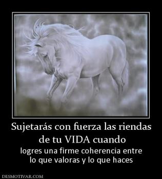 Sujetarás con fuerza las riendas  de tu VIDA cuando logres una firme coherencia entre lo que valoras y lo que haces